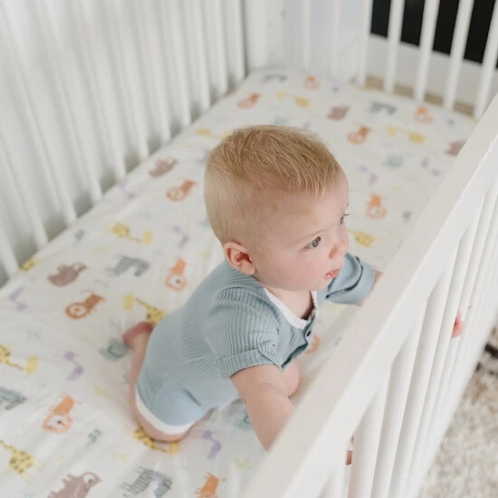 unnamed-file-146.jpg Trend Lab® Crayon Jungle Flannel Fitted Crib Sheet Cream -Trend Lab Shop unnamed file 146