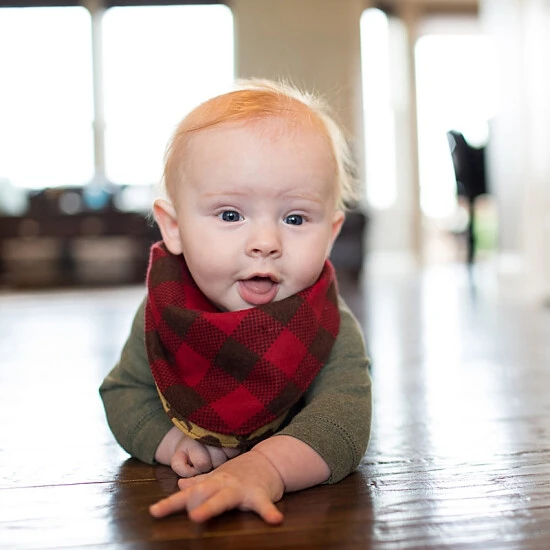 unnamed-file-679.jpg Trend Lab® 2-Pack Northwoods Reversible Bandana Bib Set Multi -Trend Lab Shop unnamed file 679